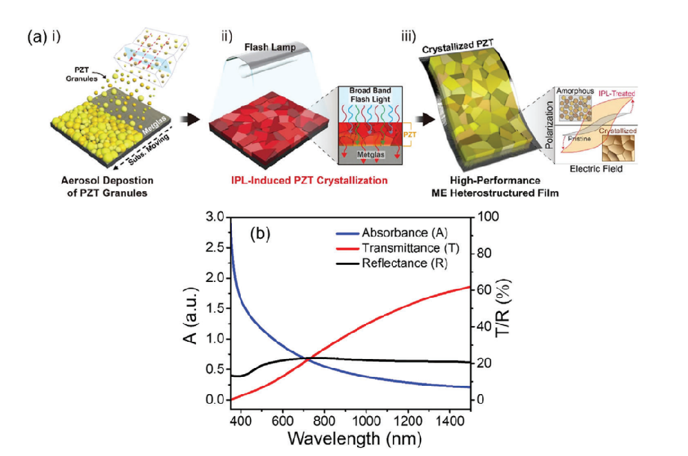 《Advanced Material》：采用光子燒結(jié)熱處理Pb（Zr，Ti）O3/Metglas異質(zhì)結(jié)構(gòu)薄膜會產(chǎn)生超過20Vcm?1Oe?1的極大磁電耦合（IF=29.477）